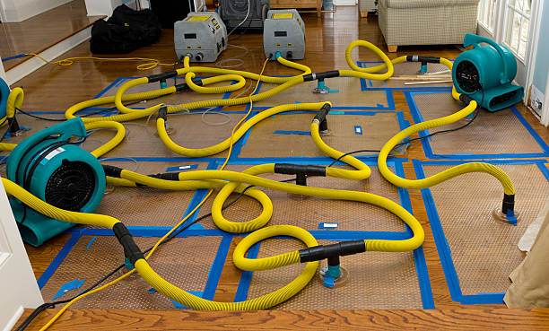Professional Storm Water Damage Restoration technician working in Aberdeen, MS